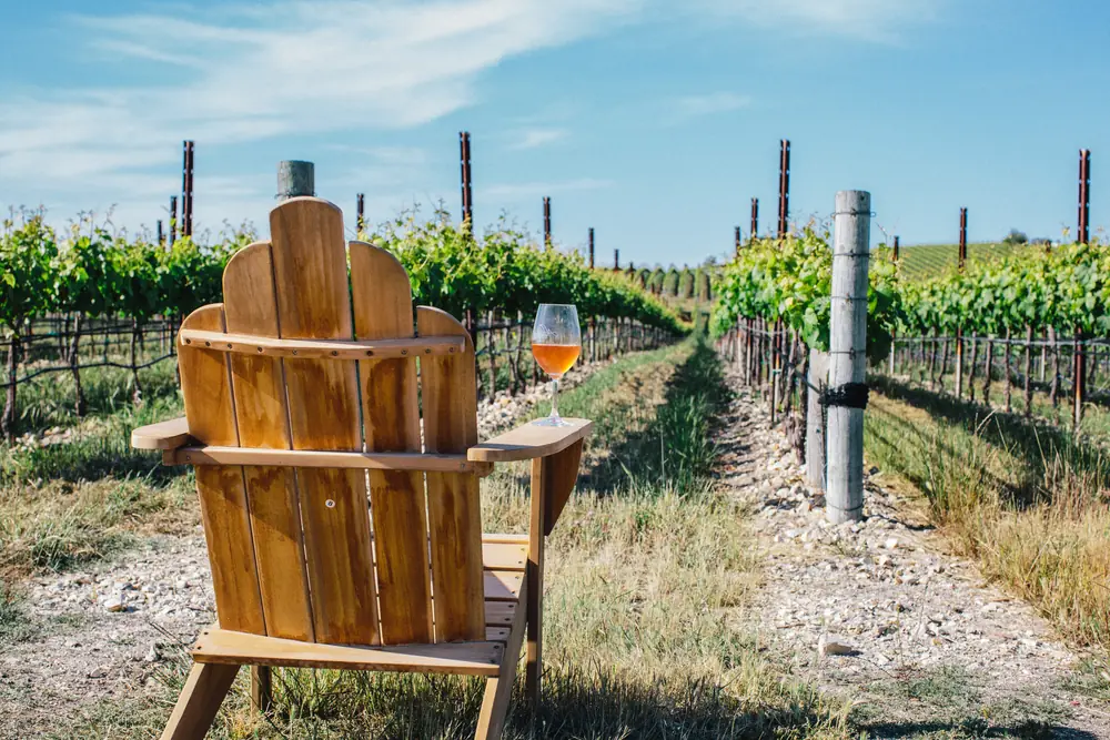 A chair and a glass of rosé out among the vine rows