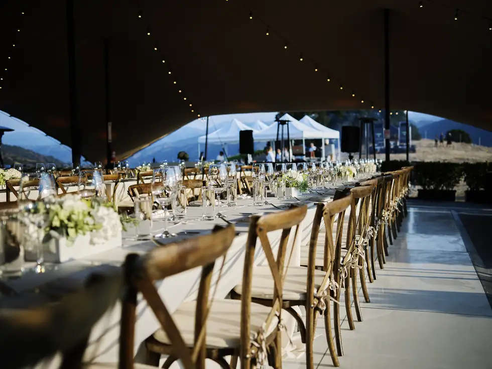 Dining set among the rows