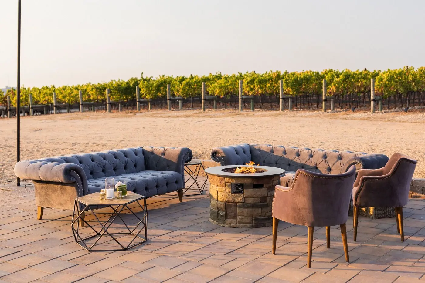 A long table set for dinner among the vines at Albatross Ridge