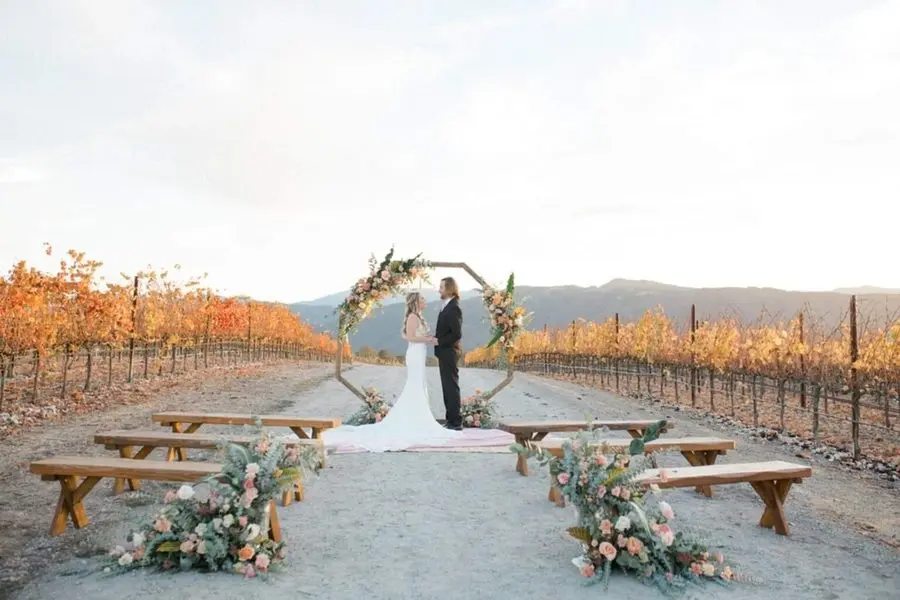 A ceremony arch between autumn vine rows
