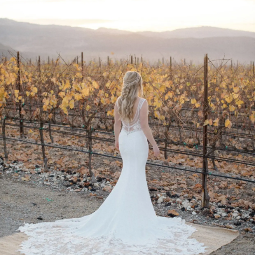 ar-vineyard-bride-vines_51_2195136-172790362315309-2