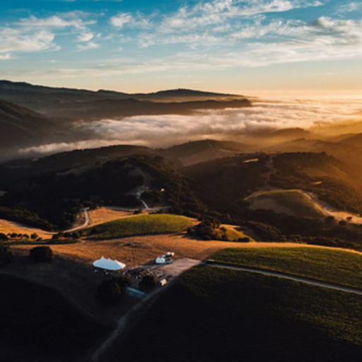 b0ab1ee0-491d-492d-a736-c8ffab44eb70rs_2202.1154.fit_-1-2